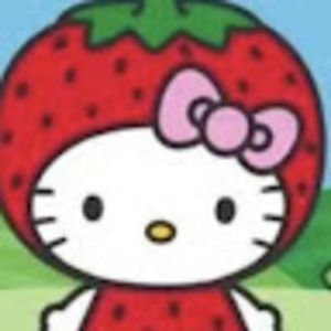 Meet your Posher, Critical